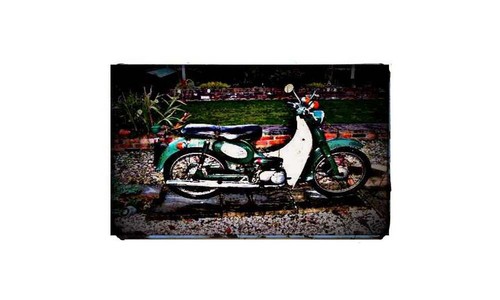 1966 suzuki u50 bike - u50,